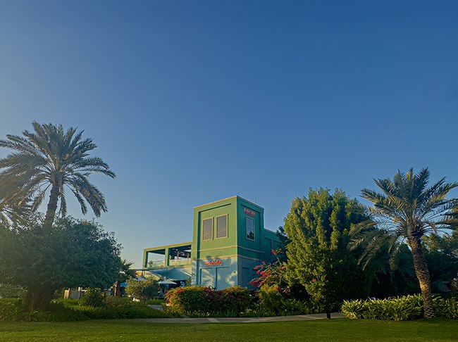 Where Business Meets Flavor